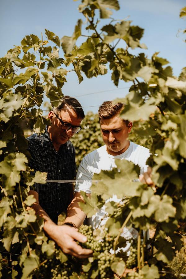 Kultur Weingut Kaestenburg Ratsch an der Weinstraße Buitenkant foto